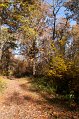 IMG_1933