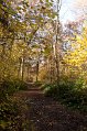 IMG_1934