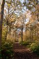 IMG_1935