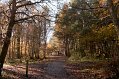 IMG_1936