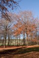 IMG_1938