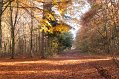 IMG_1942