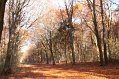 IMG_1946