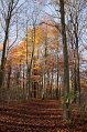 IMG_1950