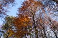 IMG_1951