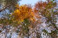 IMG_1953