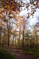 IMG_1960