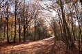 IMG_1962