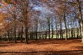 IMG_1964