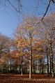 IMG_1966
