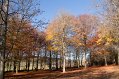 IMG_1967