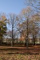 IMG_1969