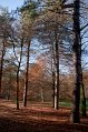 IMG_1970