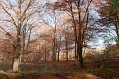 IMG_1975