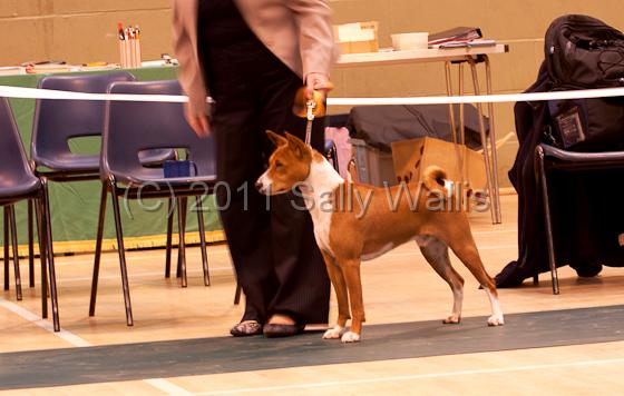 IMG_5085.jpg
