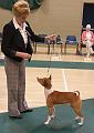 IMG_8140