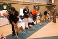 IMG_2236
