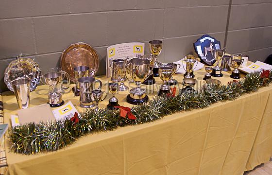IMG_9149.jpg
