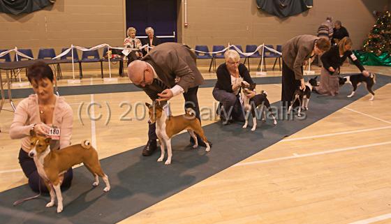 IMG_9165.jpg