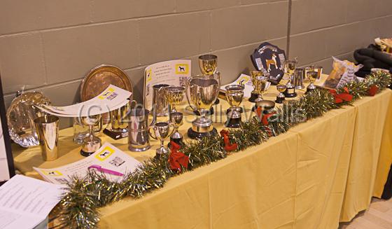 IMG_9236.jpg