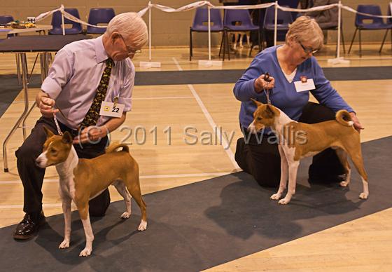 IMG_9239.jpg