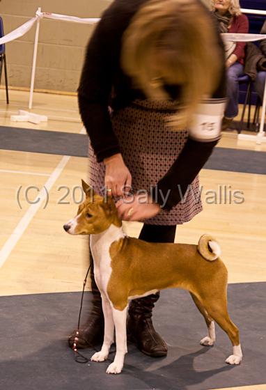 IMG_9268.jpg