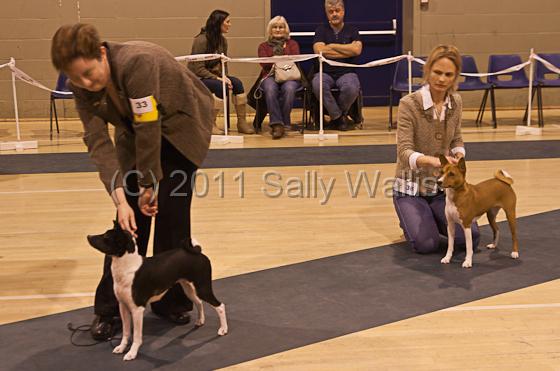 IMG_9289.jpg