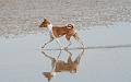 IMG_0683-Edit