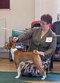 IMG_1471