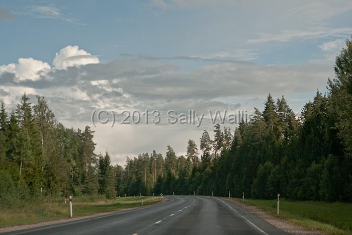 IMG_8641.jpg - Forests and highway in Estonia through window of fast moving car