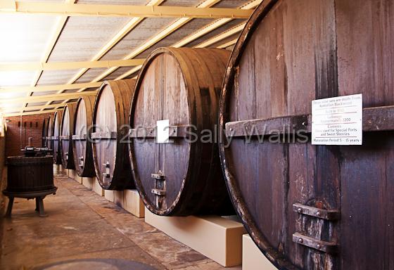 IMG_6265-Edit.jpg - huge wine barrells maturing in a winery