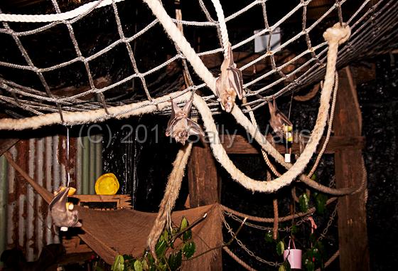 IMG_7179-Edit.jpg - IMG_7179.jpg