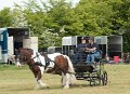 IMG_5546