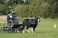 IMG_2065