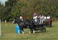 IMG_4373