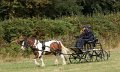 IMG_5613