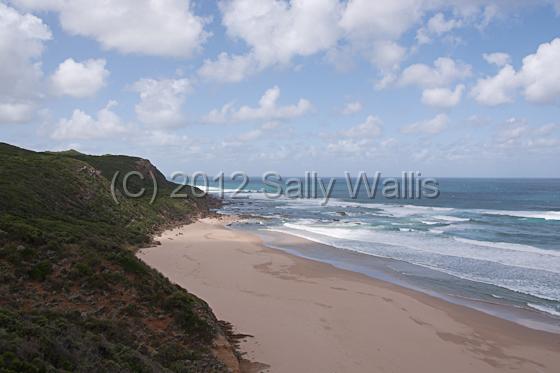 IMG_6908-Edit.jpg - Wooded cliffs leading to deserted beach from Great Ocean Road, victoria, Australia