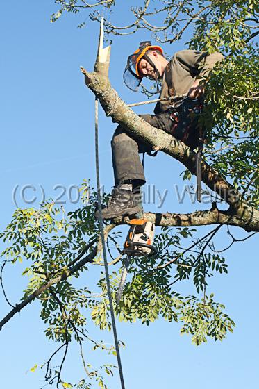 IMG_8479.jpg