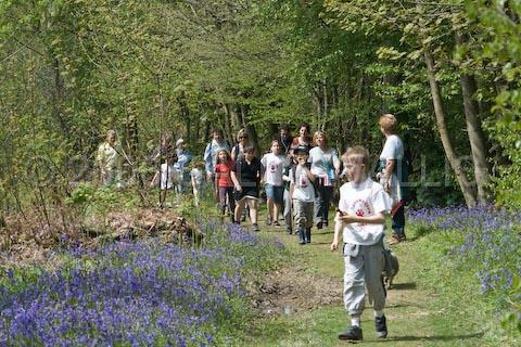 IMG_4448.jpg - After Regrouping, the Cubs march on