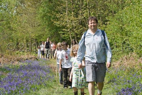 IMG_4454.jpg - Walking through scented woods